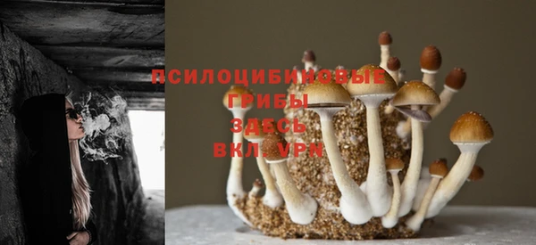 ПСИЛОЦИБИНОВЫЕ ГРИБЫ Мегион