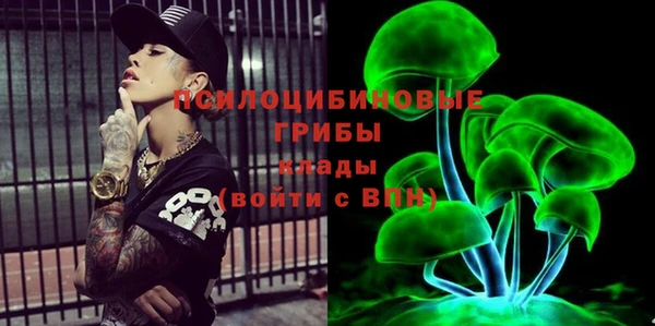 ПСИЛОЦИБИНОВЫЕ ГРИБЫ Мегион