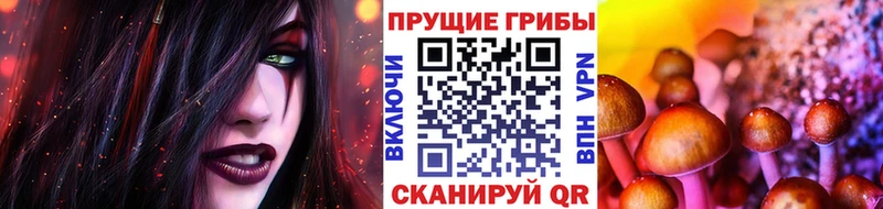 магазин продажи наркотиков Хасавюрт OMG ONION Галлюциногенные грибы Psilocybine cubensis